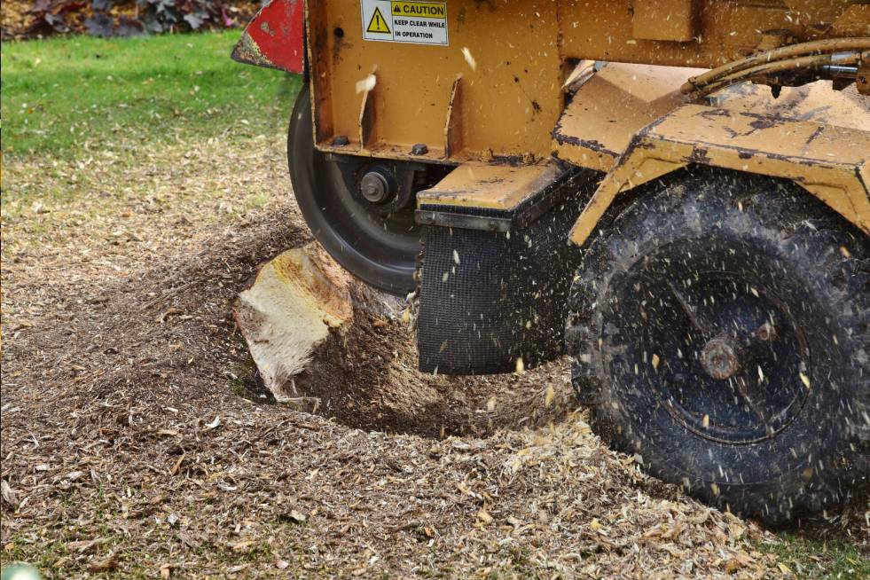 stump grinding machine