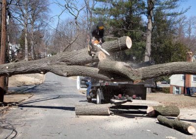 a person is cutting the wooden log of the tree