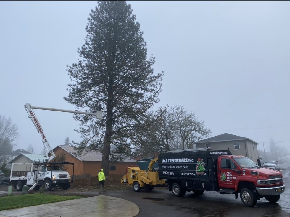 Contact Certified Arborist In McMinnville, OR A & R Tree Service Inc